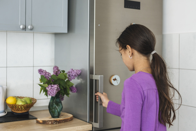 ตู้เย็น 2 ประตู สองประตู ไม่ เย็น