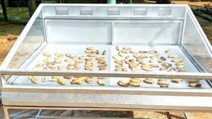 เตาอบแห้งพลังงานแสงอาทิตย์