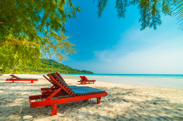 เก้าอี้ในสวน