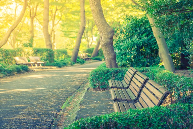 เก้าอี้ในสวน